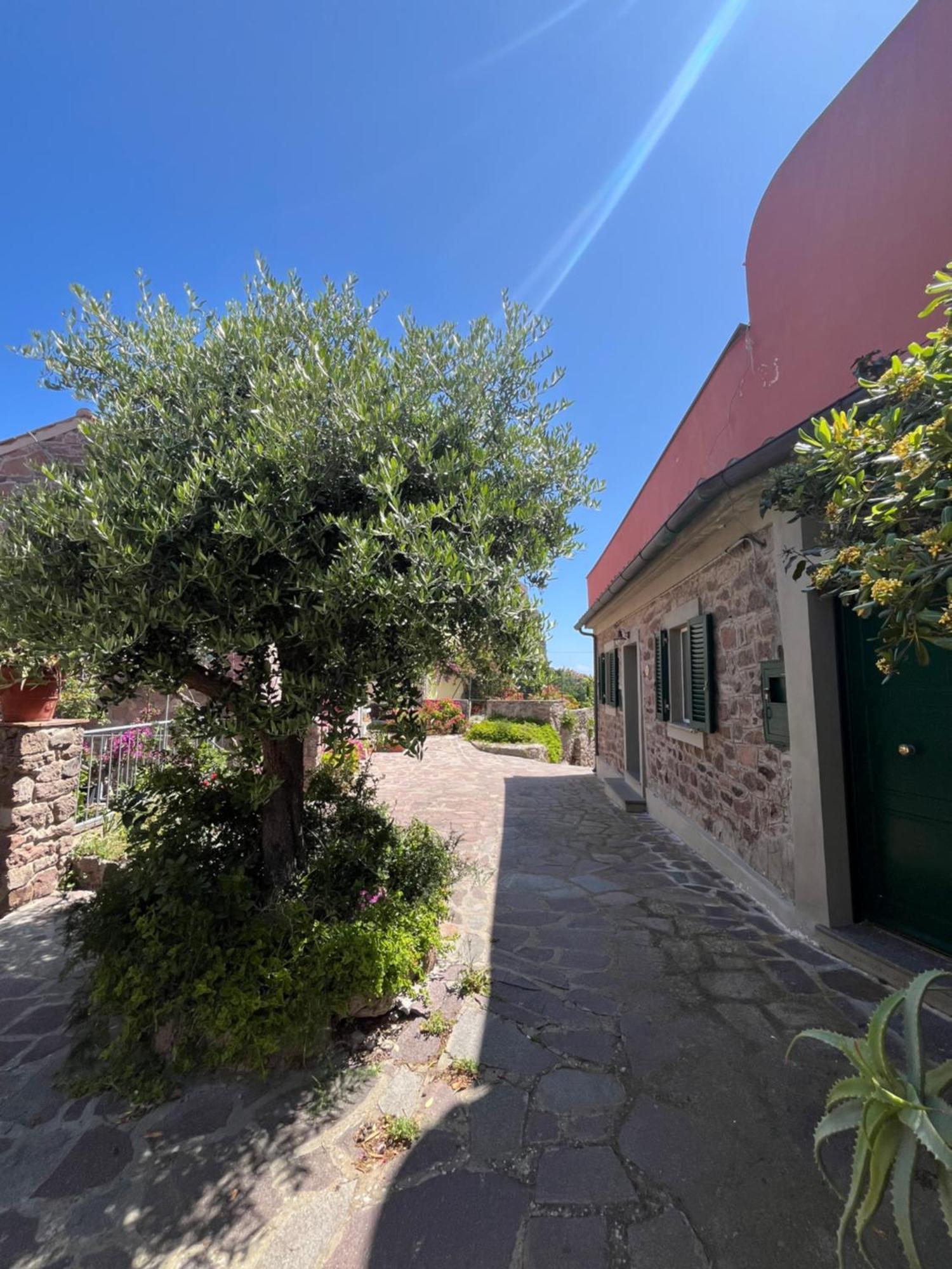 Casa Vista Castello Villa Capraia Exterior photo